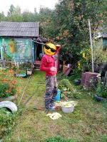 Лот: 25363409. Фото: 2. Дачный участок. Продажа