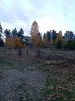 Лот: 15943848. Фото: 2. Земельный участок 13,5 соток. Продажа