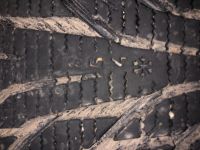 Лот: 12747673. Фото: 4. Nokian Tyres Hakkapeliitta R2... Красноярск
