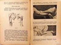 Лот: 13509595. Фото: 6. М. Бем. Учебник массажа.* 1937...