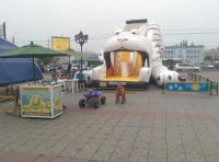 Лот: 8224131. Фото: 3. Батут, горка Тигр + комплект установки... Бизнес