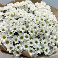 Лот: 20055459. Фото: 6. Букеты из ромашек с доставкой