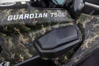 Лот: 25740257. Фото: 12. Квадроцикл HISUN Guardian 750L...