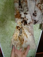 Лот: 4165715. Фото: 3. куртка женская 48 р ! № 2. Одежда, обувь, галантерея