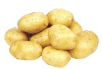 Лот: 3149380. Фото: 2. картофель молодой крупный очень... Продукты
