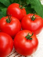 Лот: 2808414. Фото: 2. Ультраранний томат "Белый налив... Семена, рассада, садовые растения