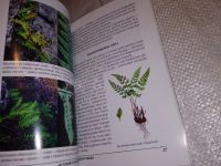 Лот: 17216184. Фото: 8. Степанов Н.В., Истории о растениях...