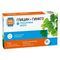 Лот: 23988545. Фото: 2. Будь Здоров Глицин+гинкго таб... Медицина
