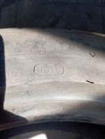 Лот: 19006163. Фото: 3. Шины Кама евро. Авто, мото, водный транспорт