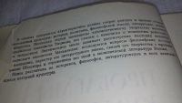 Лот: 10203964. Фото: 3. Проблемы культуры итальянского... Литература, книги