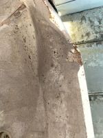 Лот: 21713850. Фото: 9. крыло Honda Capa GA4