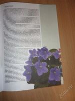 Лот: 2280644. Фото: 3. Книга Все о фиалках. Литература, книги