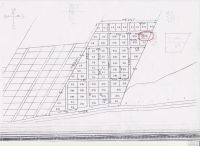 Лот: 13790260. Фото: 6. Земельный участок
