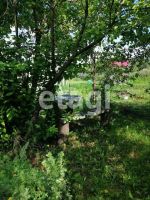 Лот: 25296015. Фото: 16. 2-комн. дача , СНТ Ветеран-3 СНТ...