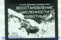 Лот: 5834379. Фото: 2. диафильм восстановление численности... Антиквариат