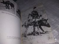 Лот: 18972680. Фото: 7. ван Лавик-Гудолл Дж.и Г. Невинные...
