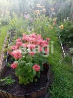 Лот: 25288927. Фото: 9. 3-комн. дача , садоводческое некоммерческое...