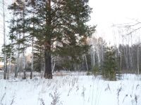 Лот: 4922265. Фото: 7. Продам участок ст. Минино