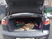 Лот: 10031904. Фото: 7. Продам Митсубиси Лансер Х