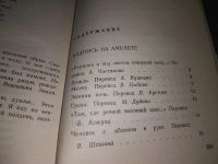 Лот: 18953160. Фото: 8. Шесталов Юван. Огонь и снег...