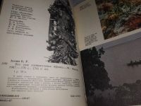 Лот: 12832878. Фото: 8. oz(1092349)Все еще удивительная...