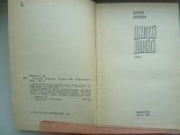 Лот: 9916717. Фото: 2. Сергей Бородин. Дмитрий Донской. Литература, книги