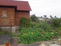 Лот: 3970955. Фото: 5. Дом с участком земли и подсобными...