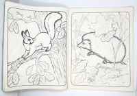 Лот: 25223825. Фото: 4. 📘 Загадки и отгадки. Альбом для... Красноярск