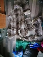 Лот: 18313275. Фото: 4. Мех нутрии серый палевый цвет...