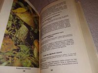 Лот: 11739012. Фото: 9. Грибная кулинария, Игорь Алехин...