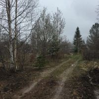 Лот: 1748150. Фото: 2. Участок на станции "Снежница". Продажа