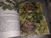Лот: 16372063. Фото: 5. Тамбиев А. Кто в кустарниках живет...