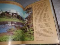 Лот: 19871247. Фото: 12. Лаврентьев А.В., Пуришев И.Б...