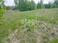 Лот: 22559887. Фото: 5. Продам участок 10 сот. Есауловское...