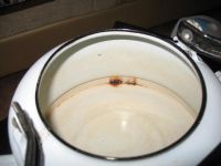 Лот: 5449270. Фото: 4. Чайник эмалированный. Красноярск