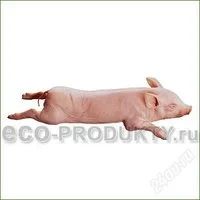Лот: 1245247. Фото: 2. Молочные поросята пока еще по... Продукты