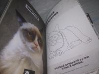 Лот: 25431422. Фото: 4. вб(4092360)Grumpy Cat . Сердитая... Красноярск