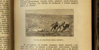 Лот: 16914279. Фото: 21. Фритьоф Нансен. В стране льда...