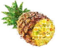 Лот: 6215214. Фото: 4. Фотомозайка из ваших фотографий... Красноярск