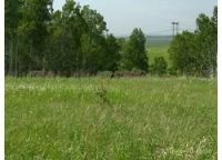 Лот: 12955351. Фото: 2. Продается участок 10 соток земельный... Продажа