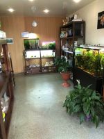 Лот: 25885488. Фото: 11. Продается студия аквариумного...