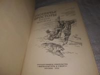 Лот: 25070555. Фото: 6. ок.(1092349*2)..Охотничьи просторы...