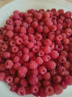 Лот: 14207980. Фото: 2. Малина сортовая 10 л.в наличии. Продукты