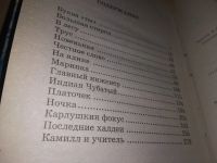 Лот: 15218226. Фото: 8. Пантелеев И., Синий снег, От автора...