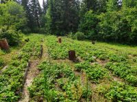 Лот: 14069352. Фото: 3. Дача на крючкова. Недвижимость