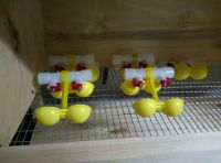 Лот: 9731344. Фото: 4. поилка нипельная двойная для перепелов... Красноярск