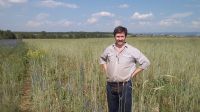Лот: 21782725. Фото: 2. Сдам в аренду участок 6,5 га под... Аренда