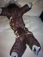 Лот: 16094590. Фото: 5. Костюмчик для собаки Louis Vuitton