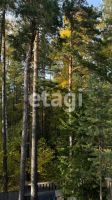 Лот: 25299101. Фото: 4. 4-комн. дача , садоводческое товарищество... Красноярск