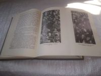 Лот: 24891166. Фото: 7. (3092316)Руденко Р.А. Нюрнбергский...